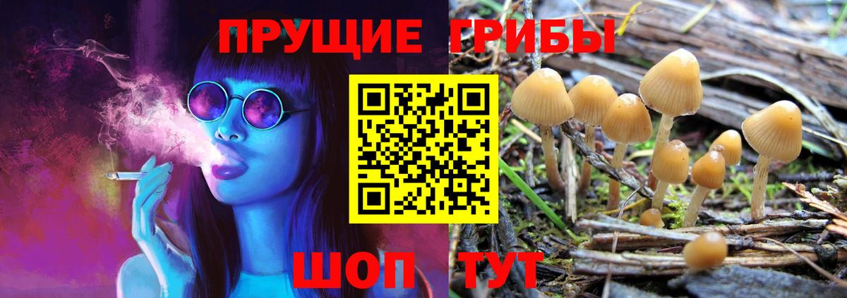 Псилоцибиновые грибы мухоморы  наркошоп  Спасск-Дальний  Вход с VPN 